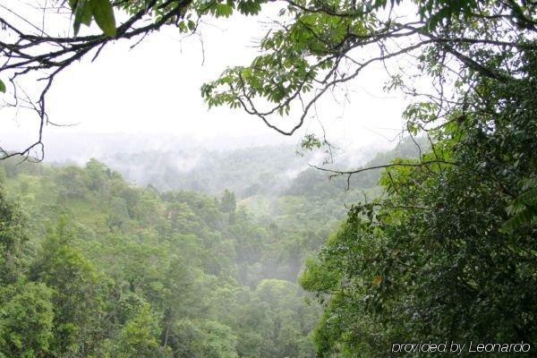 טארזלי The Canopy Rainforest Treehouses & Wildlife Sanctuary מראה חיצוני תמונה